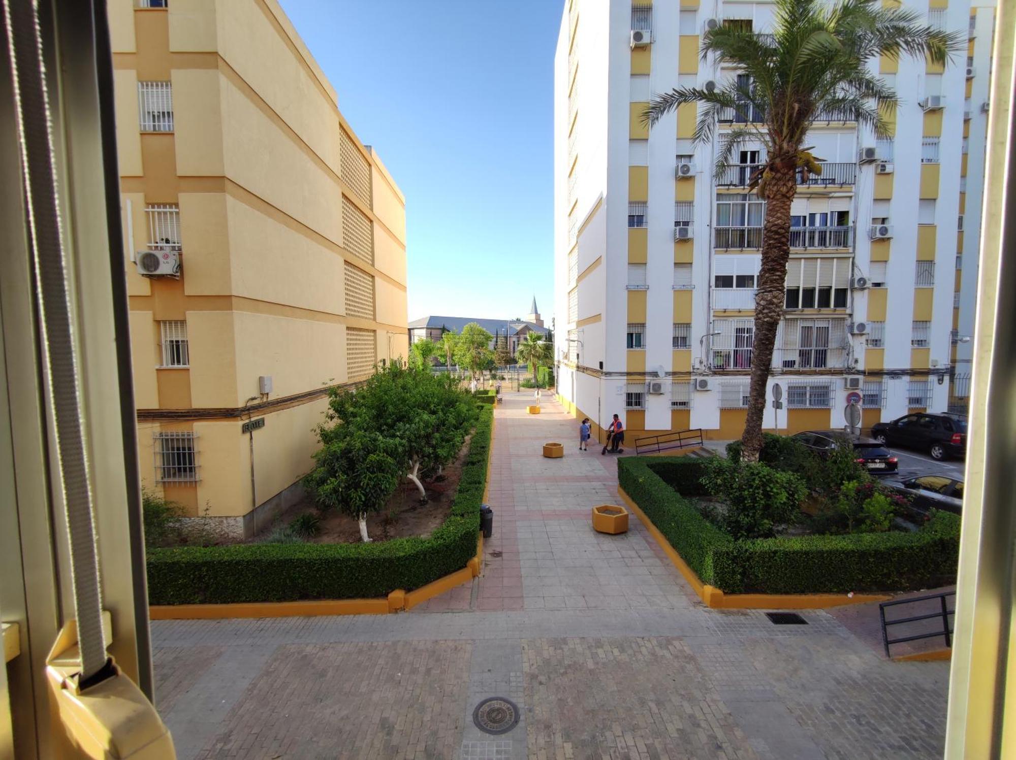 Apartamento Celia, Seville